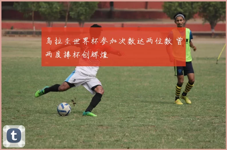 乌拉圭世界杯参加次数达两位数 曾两度捧杯创辉煌