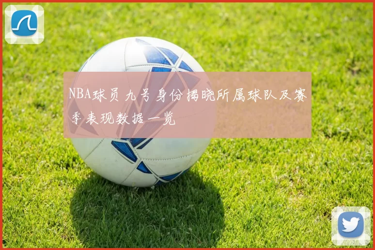 NBA球员九号身份揭晓所属球队及赛季表现数据一览