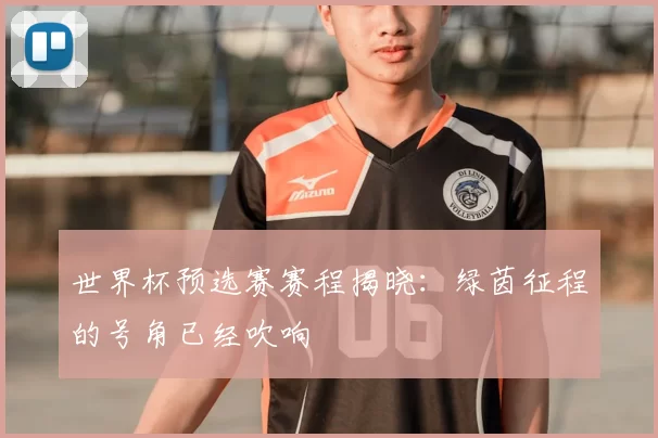 世界杯预选赛赛程揭晓:绿茵征程的号角已经吹响