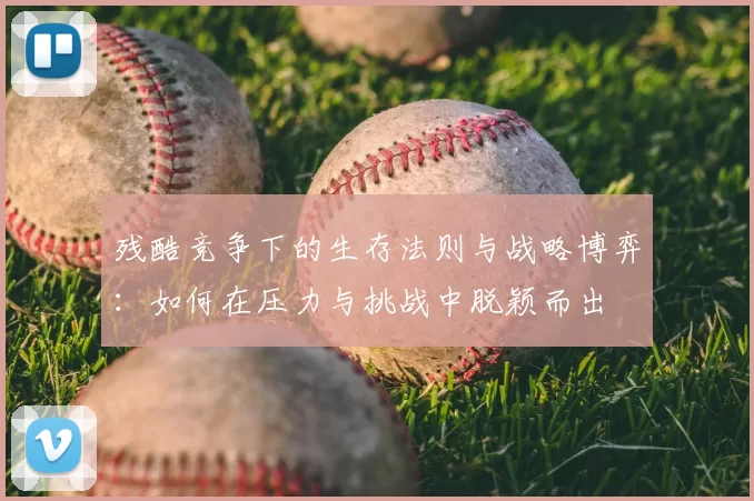 残酷竞争下的生存法则与战略博弈：如何在压力与挑战中脱颖而出