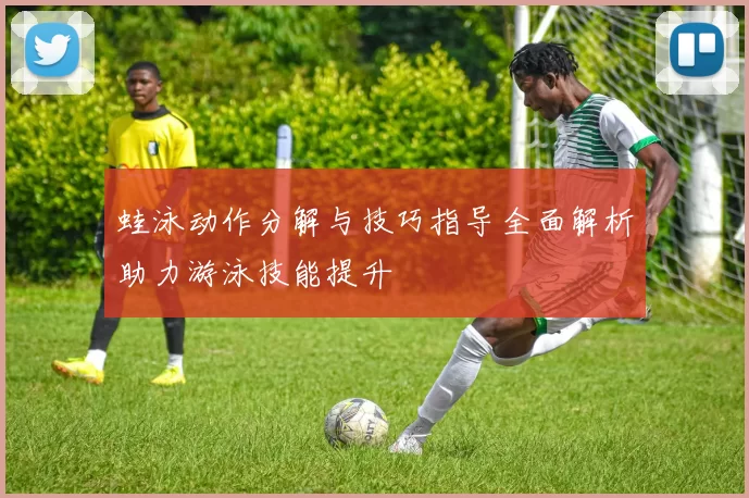 蛙泳动作分解与技巧指导全面解析助力游泳技能提升