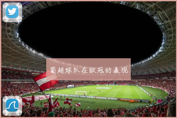 葡超球队在欧冠的表现