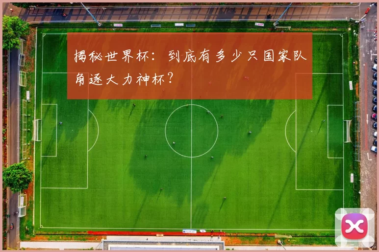 揭秘世界杯：到底有多少只国家队角逐大力神杯？