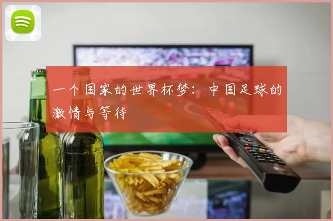 一个国家的世界杯梦:中国足球的激情与等待