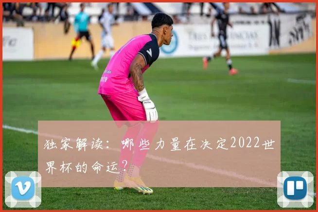 独家解读:哪些力量在决定2022世界杯的命运?