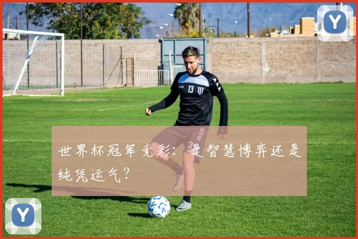世界杯冠军竞彩:是智慧博弈还是纯凭运气?