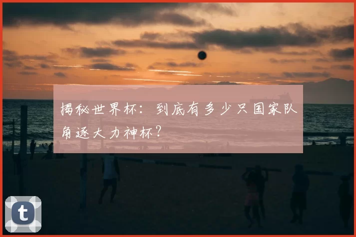 揭秘世界杯：到底有多少只国家队角逐大力神杯？