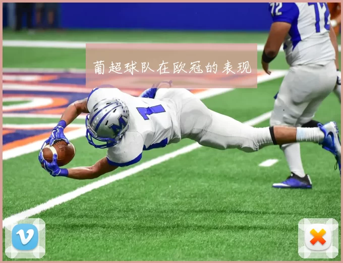葡超球队在欧冠的表现