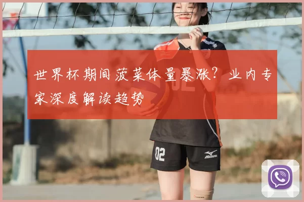 世界杯期间菠菜体量暴涨？业内专家深度解读趋势