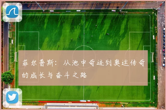 菲尔普斯：从池中奇迹到奥运传奇的成长与奋斗之路