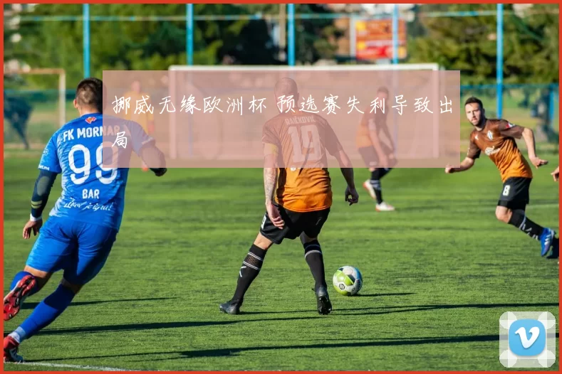 挪威无缘欧洲杯 预选赛失利导致出局